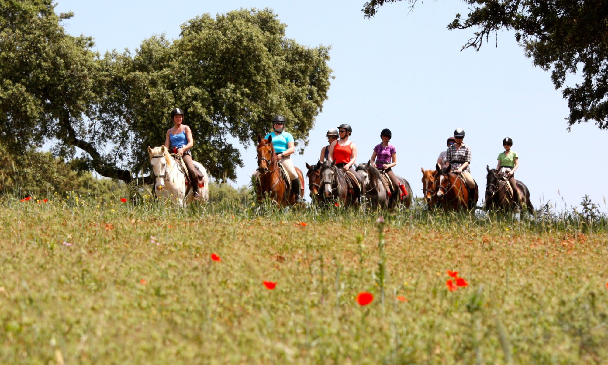 Horse Riding Holidays in Portugal